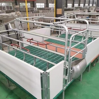 Lit de mise bas pour truies, équipement d'élevage porcin, enclos de mise bas pour truies, caisses de mise bas à vendre