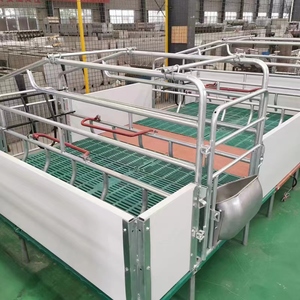 Cama de Parto para Cerdas, Equipo de Crí<span class=keywords><strong>a</strong></span> de Cerdos, Corrales de Parto para Cerdas en <span class=keywords><strong>Venta</strong></span>, Jaulas de Parto - Product Image 4