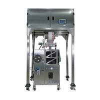 Machine d'emballage verticale automatique contrôlée par PLC avec scellage par ultrasons, pesage et remplissage multi-grammages pour sacs alimentaires