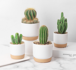 Haute Qualité En Plastique Recyclé Plante Pot De Fleur Conteneur Petit Imité En Céramique Blanc Auto Arrosage Planteur Pots pour Plante - Product Image 1