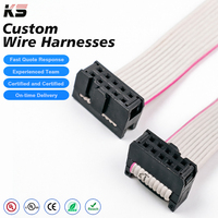Maßgefertigtes IDC 2,54 mm Rastermaß 10-poliges Flachkabel UL2651 28AWG 2x5 Positionen 10-Wege-Buchsenkabel Verlängerungsbandkabel