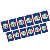 Vente en gros fabricant : Guirlande de drapeaux du Belize 14*21 cm en polyester numérique, décorations disponibles en diverses tailles et motifs