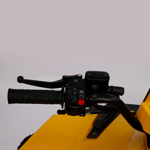 <span class=keywords><strong>Quad</strong></span> utilitaire ATV Junior à faible entretien pour flotte commerciale 150cc - Product Image 2