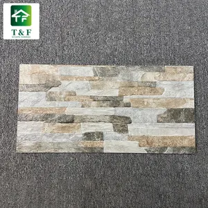 Matte Finish 300x600 Vintage Porcelain Wall Designs Tiles Price In Philippines Exterior Tiles For Wall