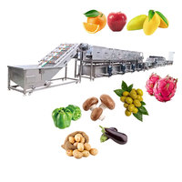 Industriële automatische fruit- en groente-waslijn met luchtbellenborstels, droog- en ontwateringsapparatuur, PLC-gestuurd, 220V