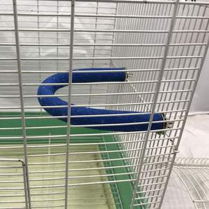 Bastone abrasivo per pappagalli di nuova concezione gabbia per uccelli curva giocattolo per uccelli bastone abrasivo a forma di U a 90 gradi - Product Image 6