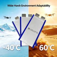 Batterie semi-solide 3,6 V 39 Ah, densité 326 Wh/kg, batterie SIC pour drone, décharge à haut débit 10C, batterie NMC Lipo pour UAV FPV