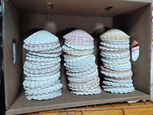 ดีลใหม่! เปลือกหอยที่เกรดสูงและราคาดี {ทำในเวียดนาม} ผู้ขายที่ดีที่สุดของ2024 - Product Image 4