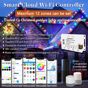C9 RGBW <strong>LED</strong> Christmas Lights Bulbs DC12V SK6812 IP68 Waterproof Color Changing Commercial Grade Outdoor String Lights - Product Image 3