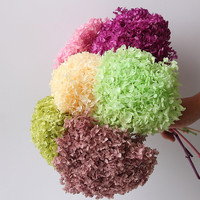 Bunga Hydrangea Preserved Merek Kanaking Ungu 20cm Lebih Dari 40 Warna Sentuhan Alami Dekorasi Pernikahan Dekorasi Rumah
