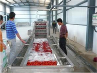 Machine à confiture Ligne de production de purée de fruits La petite confiture de fruits fait la ligne de production