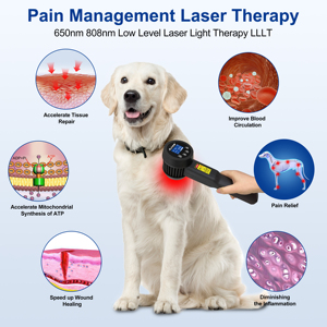 Appareil de thérapie au laser froid à haute efficacité 8W pour les douleurs articulaires, l'arthrite, l'inflammation et la maladie discale dégénérative - Product Image 4