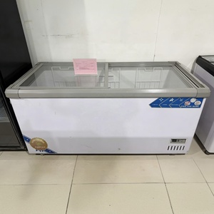 Congelatore Orizzontale OEM/ODM da 289L, Grande Formato Adatto per Uso Domestico e Commerciale, Armadio per Congelamento Profondo a Doppio Uso - Product Image 3