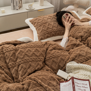 Rắn ấm taffia nhung sữa nhung 4 pcs setcolour kẻ sọc Comforter Cover gối Quilt Cover Sheet bedding Set cho mùa đông - Product Image 5