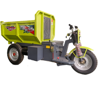 Haute qualité 1ton capacité hydraulique mini dumper mine électrique cargo tricycle chinois trois roues pas cher cargo électrique benne basculante