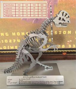 ไดโลโฟซอรัส 304 งานฝีมือสแตนเลส งานเชื่อมสแตนเลส งานปั๊มลายนูน งานพิมพ์ ของตกแต่งบ้าน หลากสี - Product Image 2