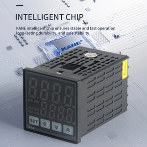 Controlador de temperatura Pid digital de entrada <span class=keywords><strong>TC</strong></span>/RTD rojo y verde, pantalla LED de doble fila de 4 bits, 24VAC, con salida SSR + relé, 1 unidad - Product Image 5