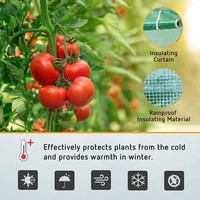Serre commerciale moderne 3x3x2m, éco-responsable, à structure métallique, facile à assembler, portable pour la culture de légumes en extérieur