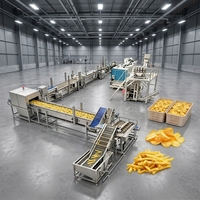Ligne de production d'équipements pour frites et chips de pommes de terre Longkun avec une production horaire de 1000 à 8000 kg et une haute efficacité