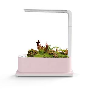 Mini Jardín Hidropónico Interior Inteligente 2021 con Luz LED de Cultivo - Product Image 6