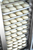 Machine pour la fabrication de pâte, avec 16 plateaux, équipement de pâtisserie