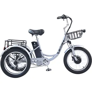 Triciclo eléctrico silla de ruedas cerrado triciclo eléctrico para adultos de la motocicleta de 3 ruedas triciclo eléctrico de 3 ruedas Elec
