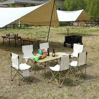 Table de camping pliante en métal portable 120x55x50cm, design moderne, pour extérieur, jardin, hôtel, usage populaire