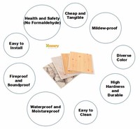 Dalle de Faux Plafond PVC Plastique Étanche, Bonne Qualité, Prix Usine