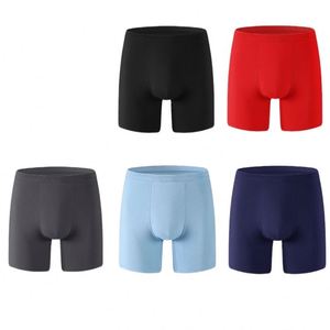 Breathable <b>Polyester</b> <b>Boxer</b> Shorts for Men Big Tall Extended Anti-Chafe Leg Sportswear Anti-Rolling Elastic Waistband ODM Supply - Product Image 1