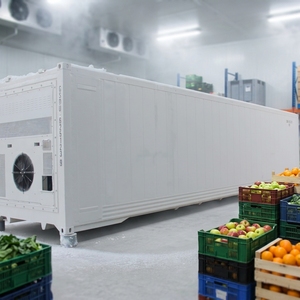 Mango-Lagerung im kontrollierten Atmosphärensystem: Temperaturkontrolle, Feuchtigkeitsregulierung, Regulierung von Gängen wie C2H4, <span class=keywords><strong>O2</strong></span> und CO2 - Product Image 1