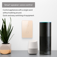 Interrupteur tactile WiFi intelligent TYSH 2 voies sans fil neutre 10A IP53 Panneau UE