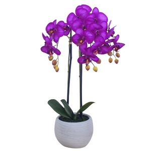 <span class=keywords><strong>OH</strong></span> ARTS Fleurs d'orchidées Phalaenopsis artificielles de haute qualité pour la décoration de la maison et de mariages, tiges élégantes pour la Fête des Mères - Product Image 1