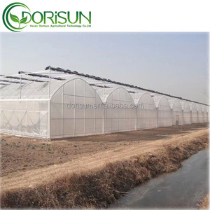 Venlo – pilier solaire en verre, Tunnel, couverture en plastique, lit de rocaille d'aquaculture, serre <span class=keywords><strong>avec</strong></span> <span class=keywords><strong>étang</strong></span> à poissons - Product Image 2