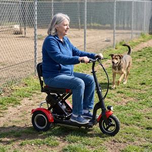 Scooter électrique léger et auto-équilibrant, facile à ranger, idéal pour le bénévolat dans les refuges pour animaux - Product Image 4