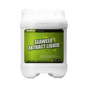 Hibong hữu cơ nhanh chóng phát hành thủy canh chất dinh dưỡng sinh học enzymolysis rong biển chiết xuất chất lỏng phân bón cho nông nghiệp sử dụng - Product Image 2