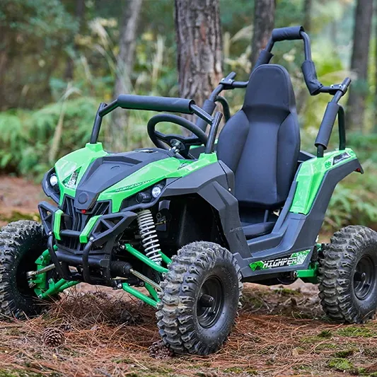 2021 yeni elektrikli çocuk 1200W48V UTV, elektrikli dune buggy, CE ile kart gitmek