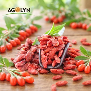 Bayas <span class=keywords><strong>de</strong></span> Goji Rojas <span class=keywords><strong>de</strong></span> Ningxia Premium, Cosecha 2026, Superalimento <span class=keywords><strong>de</strong></span> Primera Cosecha, Bayas <span class=keywords><strong>de</strong></span> Lobo Secas a Granel para Venta al por Mayor - Product Image 1
