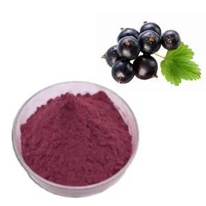Suplemento de jugo de grosella negra, polvo de antocianina 25%, Extarct de fruta de grosella negra