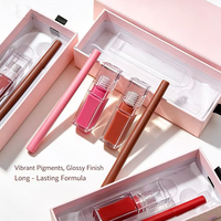 Kit de lèvres nude à étiquette privée, kit de gloss à lèvres personnalisé, imperméable