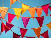 Guirlande de fanions de carnaval triangulaires en gros
