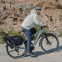 Vélo de ville électrique Fiido Nomads Pro Touring avec pneus de 29 pouces, moteur central 250W, batterie 36V 11.6AH, fourche à suspension pneumatique, capteur de couple