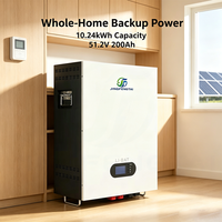 Batterie domestique intelligente murale LiFePO4 51.2V 200Ah 10.24kWh avec écran LCD intégré, BMS, CAN, RS485, 6000 cycles, en parallèle