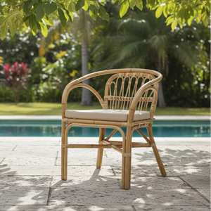 Fauteuil en rotin moderne Dolvio, confortable et élégant, tissé à la main, pour salon, chambre, appartement, hôtel, usage premium - Product Image 1