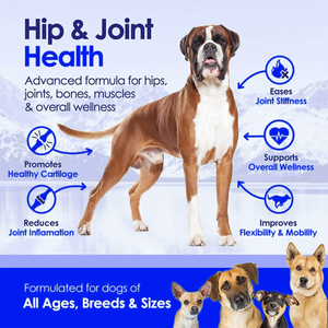 Gelişmiş Pet sağlık takviyesi köpeğin artrit kabartma kalça displazi desteği için glukozamin tozu azaltılmış inflamasyon - Product Image 3
