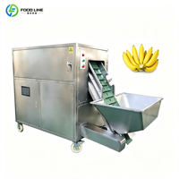 Kleine industriële machine voor het schillen van groene bananen en plantains