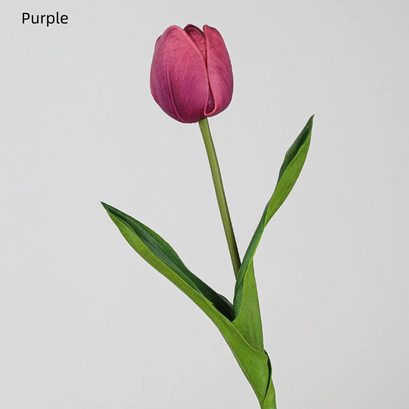 Púrpura