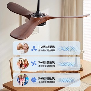 Ceiling Fan Light With Led Bulb 50000 Hours Lifespan For Living Room And Dining Room Fixed Blade Design - Product Image 2