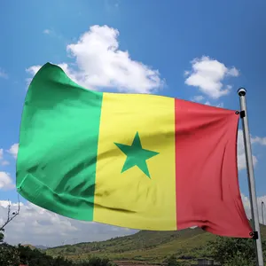 Werbeartikel Fabrik Banderas personal izadas Logo 3x5 ft Polyester Durable Outdoor benutzer definierte Senegal Flagge