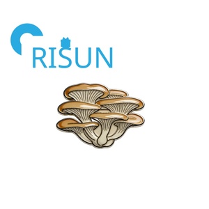 Al por mayor, personalizado, bonito diseño de dibujos animados, broche de esmalte blando y duro con forma de hongo ostra, hongo de la muerte y hongos venenosos, insignia de solapa - Product Image 5