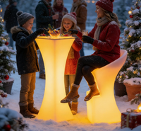 Barre LED étanche IP65 à 16 couleurs avec télécommande IR pour ferme, supermarché, boîte de nuit, hôtel, centre commercial, salle de sport, événements et entrées